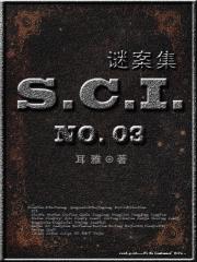 SCI谜案集第三部