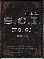 SCI谜案集第一部