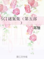 SCI谜案集第五部