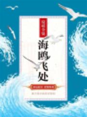 海鸥飞处